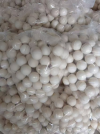 Vibrating Screen Rubber Ball